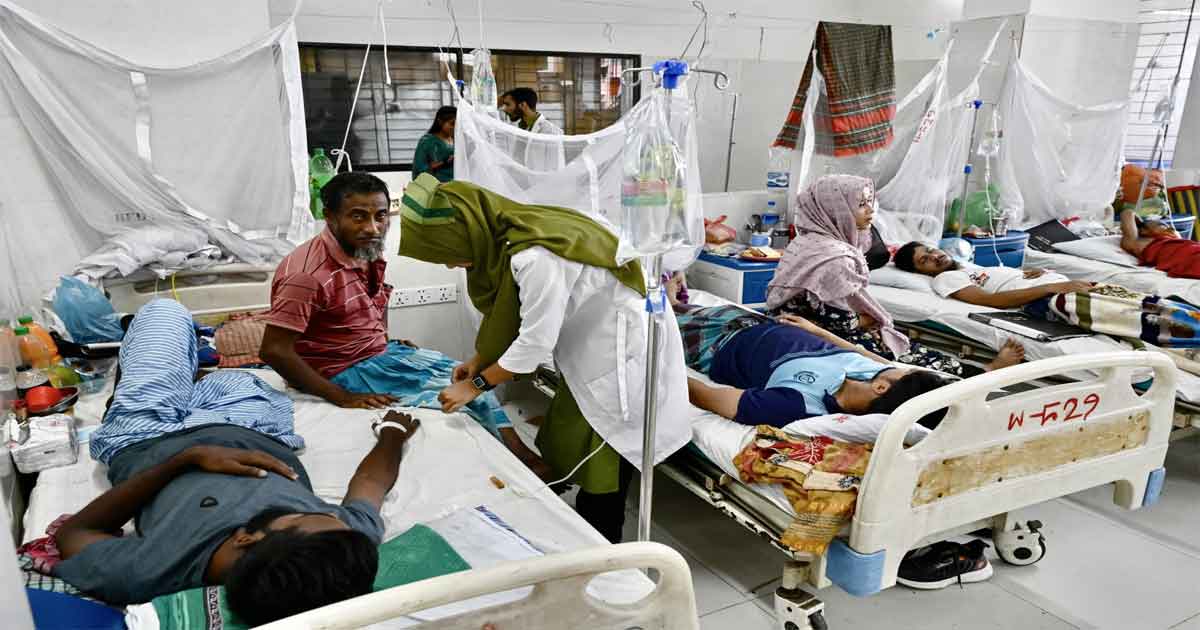ডেঙ্গুতে আরও ৭ জনের মৃত্যু